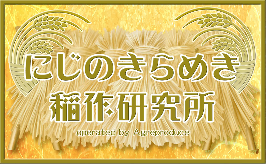 にじのきらめき稲作研究所