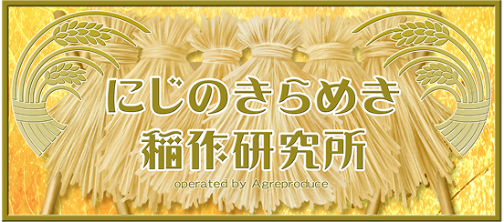 にじのきらめき稲作研究所