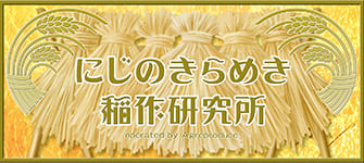 にじのきらめき稲作研究所