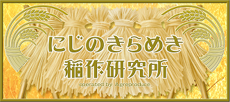 にじのきらめき稲作研究所